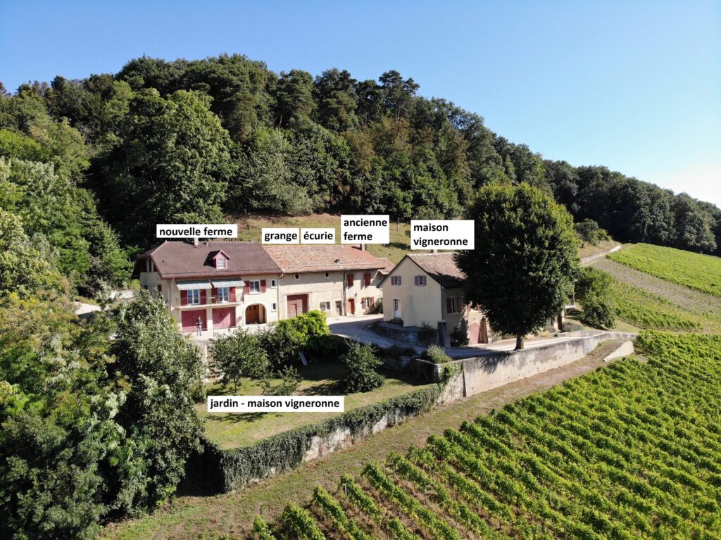 Luins, Domaine viticole avec forêt, vue imprenable lac