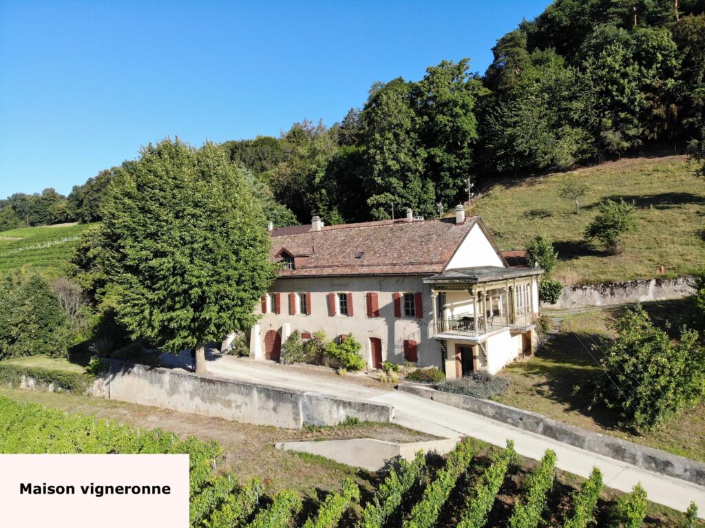 Luins, Domaine viticole avec forêt, vue imprenable lac
