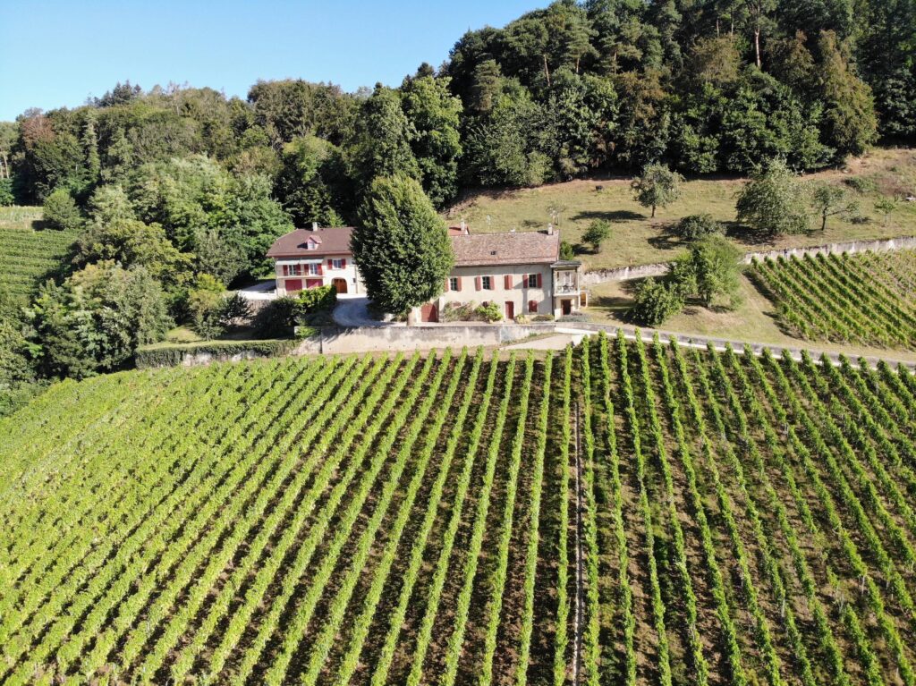 Luins, Domaine viticole avec forêt, vue imprenable lac